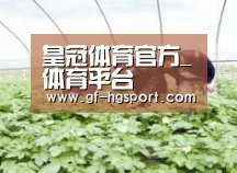 种植基地三