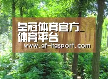 种植基地九