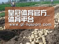 种植基地八