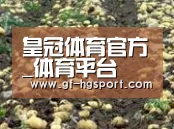 种植基地八(图1)