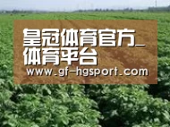 种植基地五(图1)