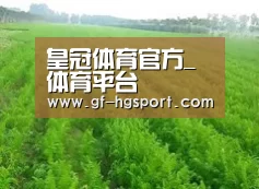 种植基地四