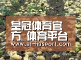 种植基地七