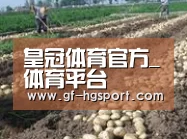 种植基地七(图1)