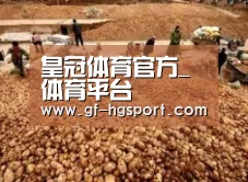 种植基地二