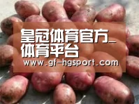 产品展示标题5(图1)