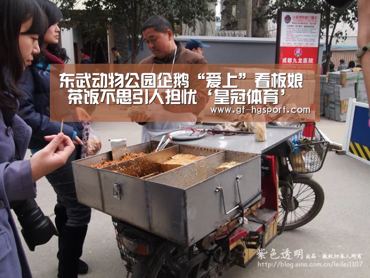 皇冠体育官网