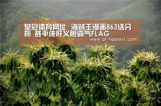 皇冠体育网址-海贼王漫画863话分析 甚平侠肝义胆霸气FLAG(图2) 皇冠体育官网