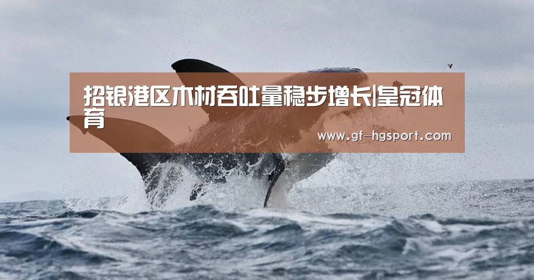 皇冠体育官网