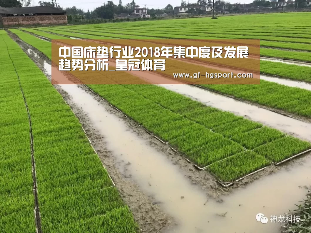 中国床垫行业2018年集中度及发展趋势分析_皇冠体育(图1) 皇冠官方