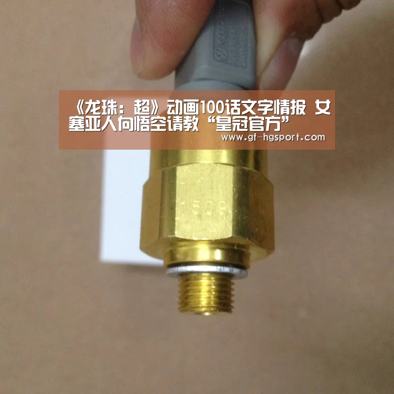 皇冠体育网址